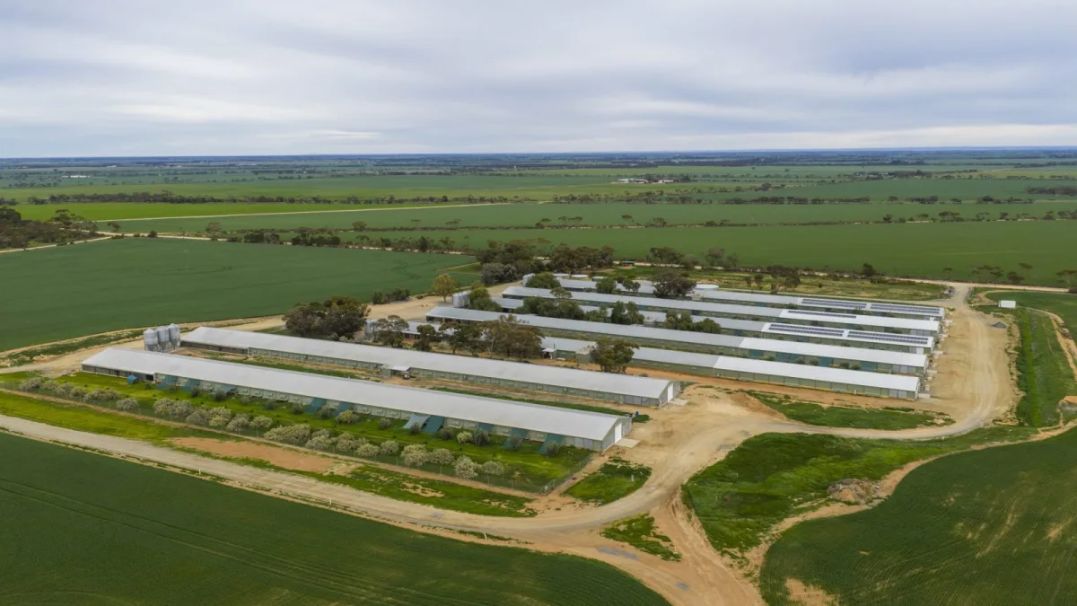 Chicken farm deployment